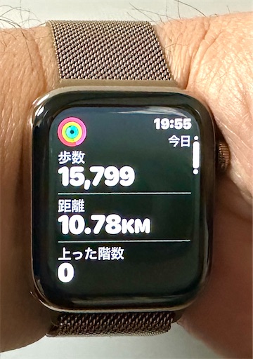 f:id:azumino874:20260206195711j:image