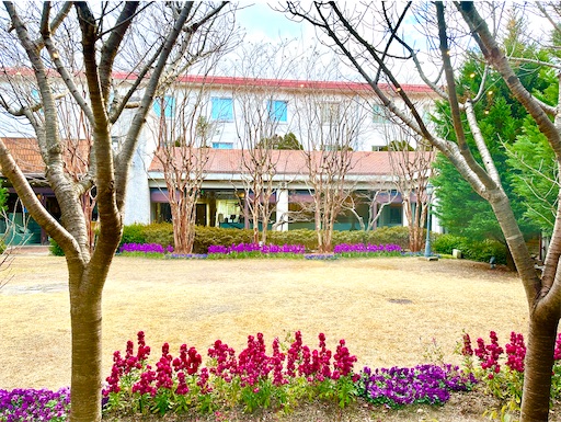 f:id:azumino874:20260207115744j:image