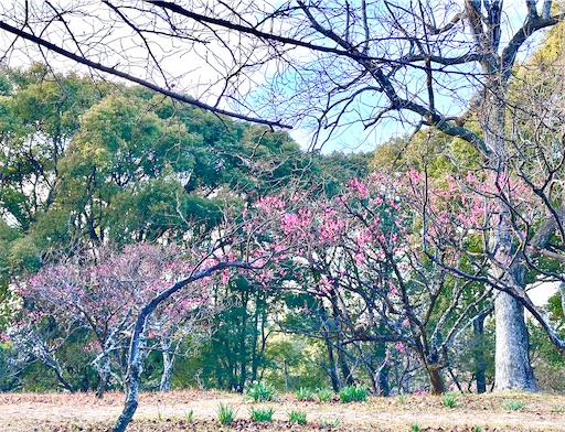 f:id:azumino874:20260207140851j:image