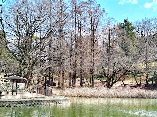 f:id:azumino874:20260207141335j:image