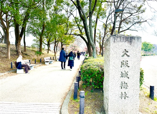 f:id:azumino874:20260207141455j:image