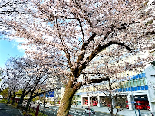 f:id:azumino874:20260403123751j:image