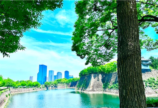 f:id:azumino874:20260603112654j:image