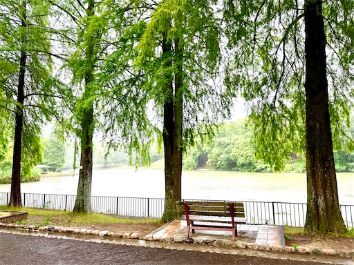 f:id:azumino874:20260620190326j:image