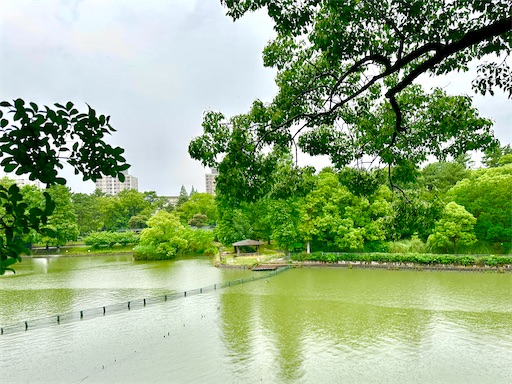 f:id:azumino874:20260620190332j:image