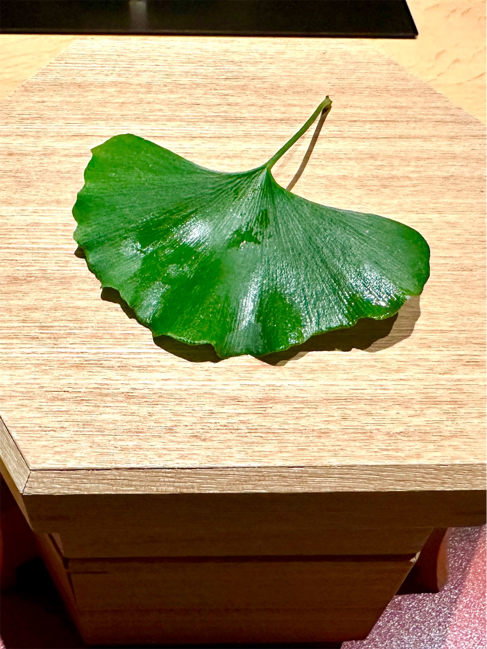 f:id:azumino874:20261001115531j:image