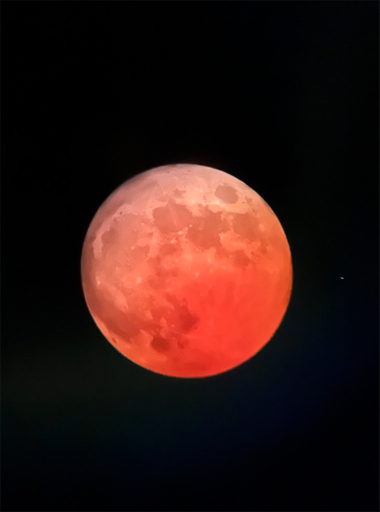 f:id:azuminoyamatosora:20221130161435j:image f:id:azuminoyamatosora:20221130161435j:image