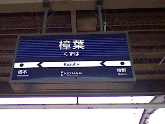 イメージ 7