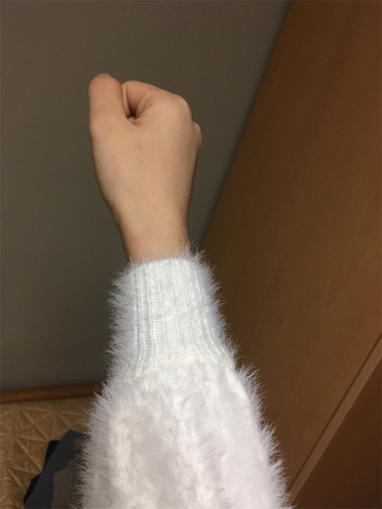 f:id:azunki:20181113022816j:image f:id:azunki:20181113022816j:image