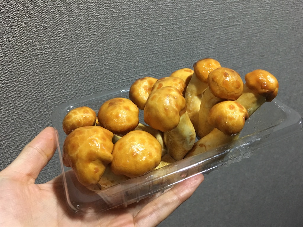 f:id:azunzu:20180203211907j:image