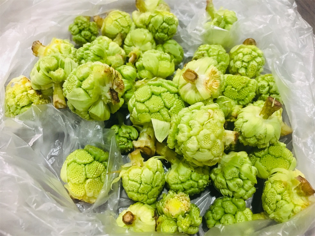 f:id:azunzu:20190309225503j:image
