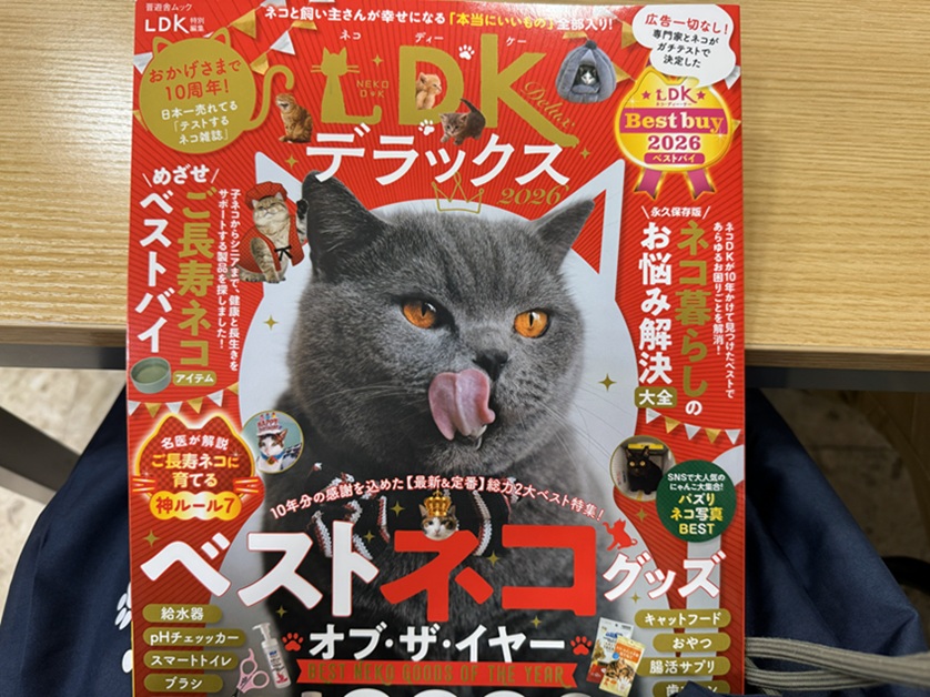 ネコ好き 猫好きさんへおススメの本📚 - りんごちゃん 速達で～す！
