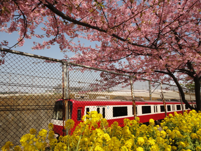 f:id:azure26:20120320115442j:image