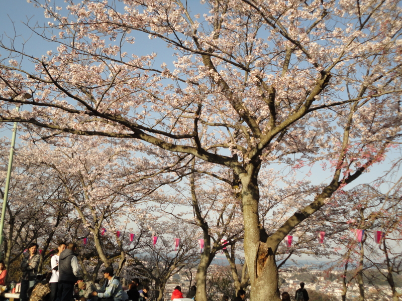 f:id:azure26:20120408163044j:image