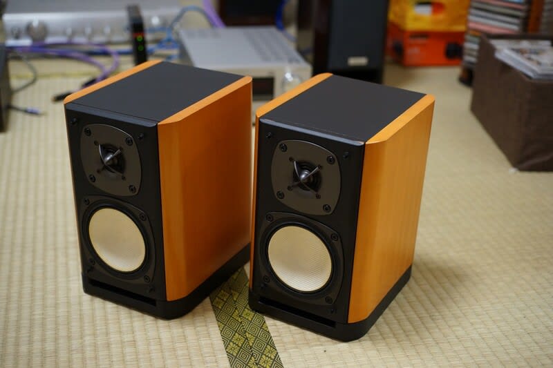 スピーカー・ウーファー ONKYO D-112EXT コスパ高かったんだな～びっくり！』 ONKYO D-112EXT(D) [ペア