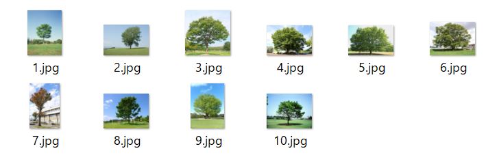 f:id:azurex:20190301214522j:plain f:id:azurex:20190301214522j:plain