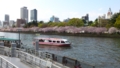 [風景] 桜