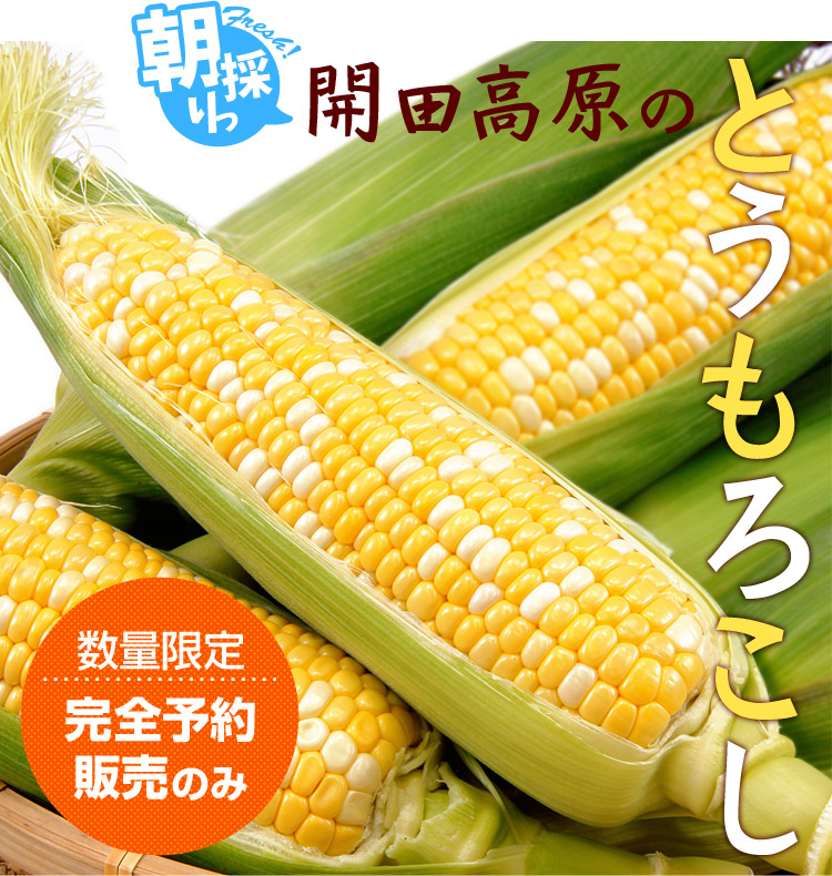 f:id:azusaya:20150820172506j:plain