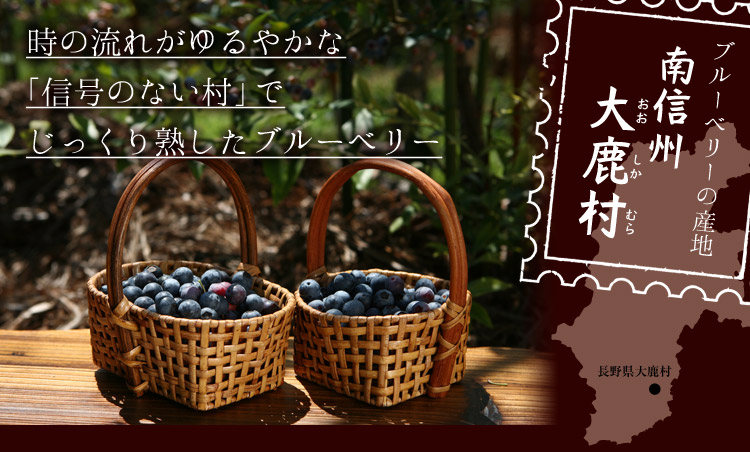 f:id:azusaya:20160604115912j:plain f:id:azusaya:20160604115912j:plain