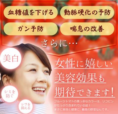 f:id:azusaya:20160620151047j:plain
