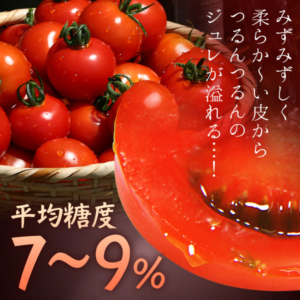 f:id:azusaya:20160724143541j:plain