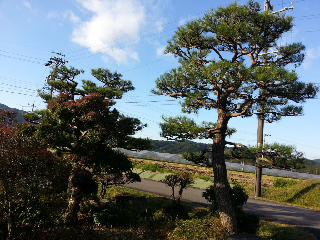 f:id:azusaya:20161112154731j:plain