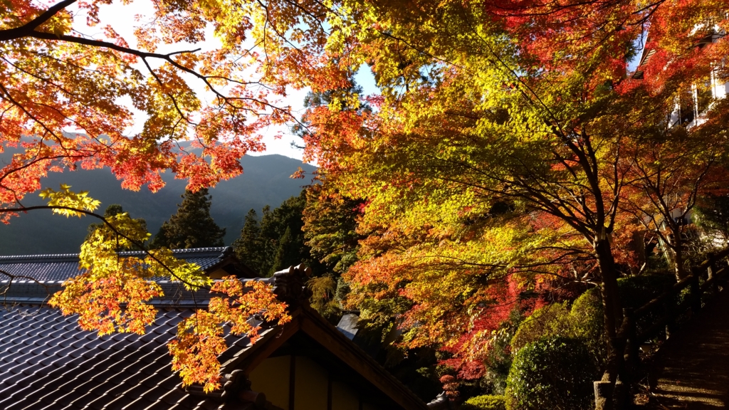 f:id:azusaya:20161115153638j:plain