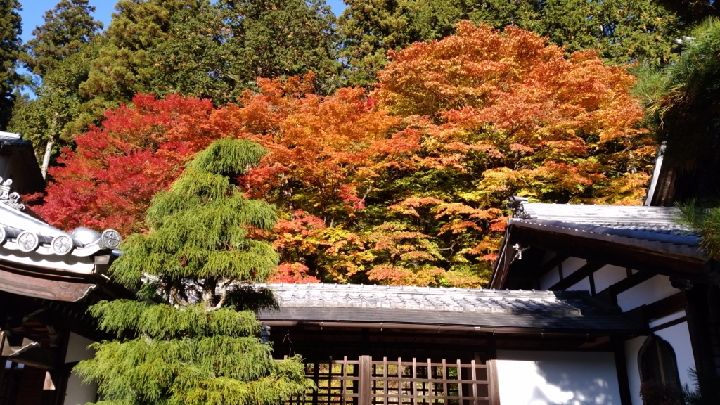 f:id:azusaya:20161115153710j:plain