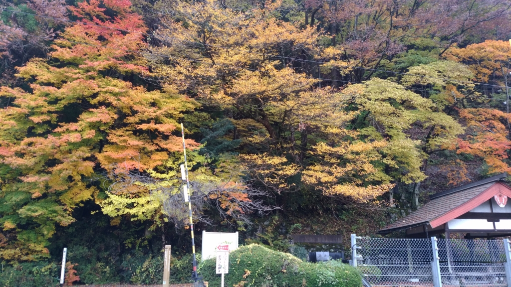 f:id:azusaya:20161124143726j:plain