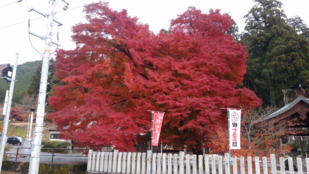 f:id:azusaya:20161124143933j:plain