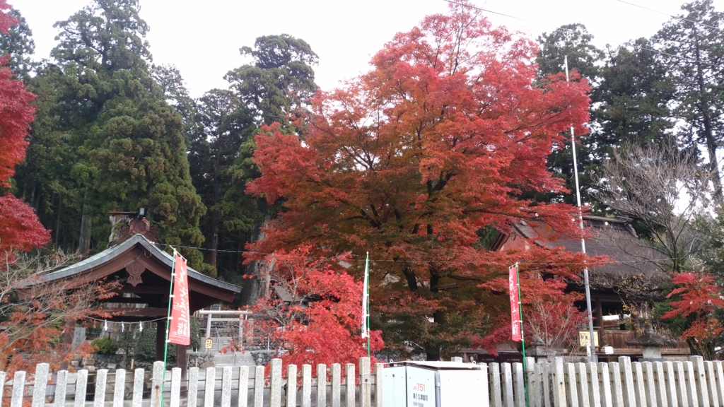 f:id:azusaya:20161124143942j:plain