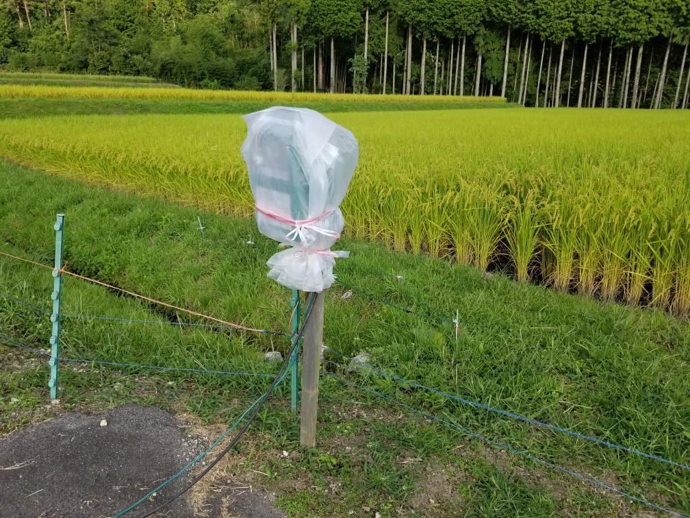 f:id:azusaya:20190920154025j:plain