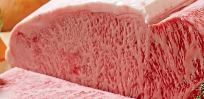 f:id:azusaya:20200201163730j:plain f:id:azusaya:20200201163730j:plain