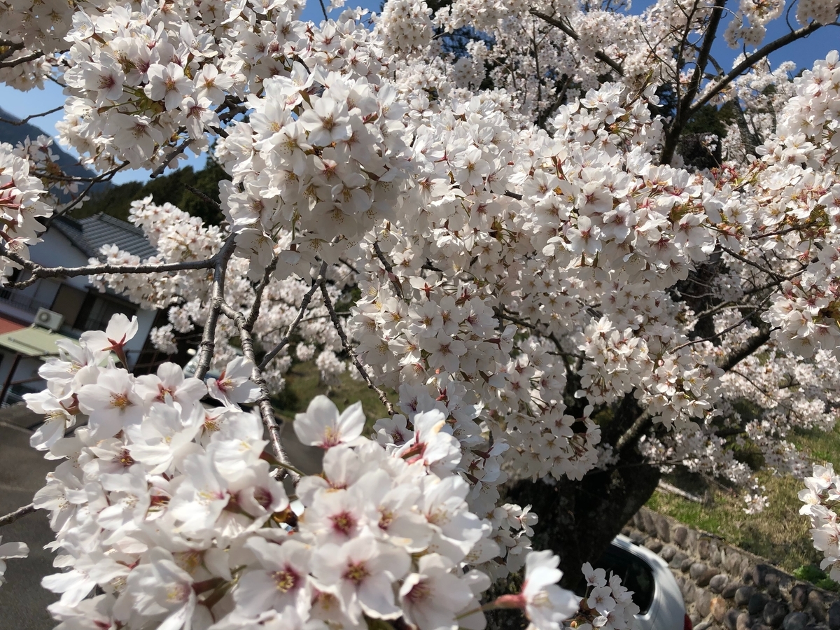 f:id:azusaya:20200409152145j:plain