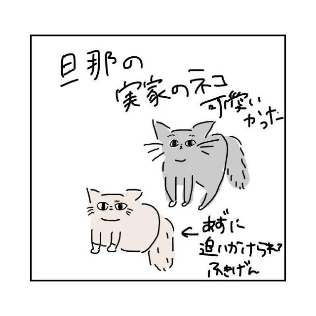 f:id:azusora_diary:20200107225004j:image