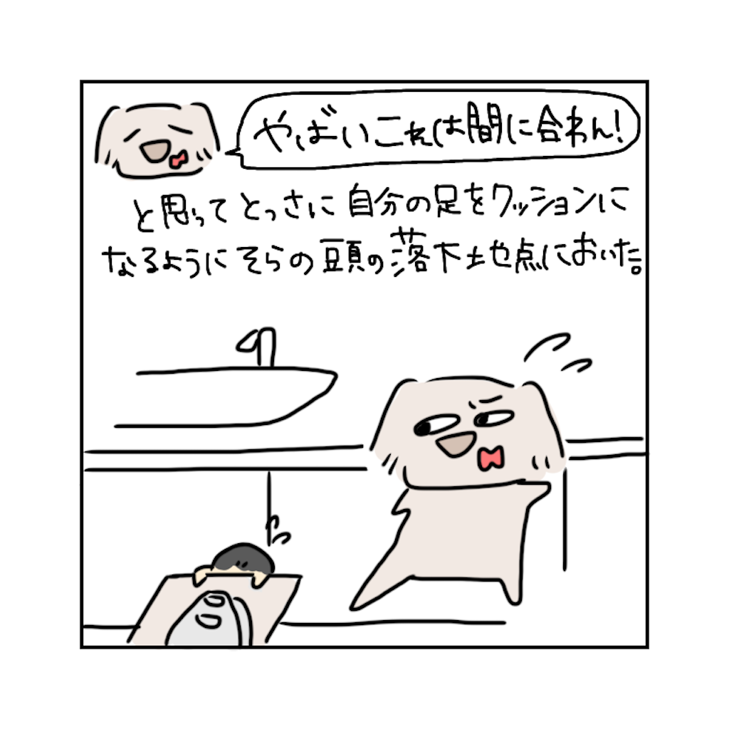 f:id:azusora_diary:20200220120651p:image