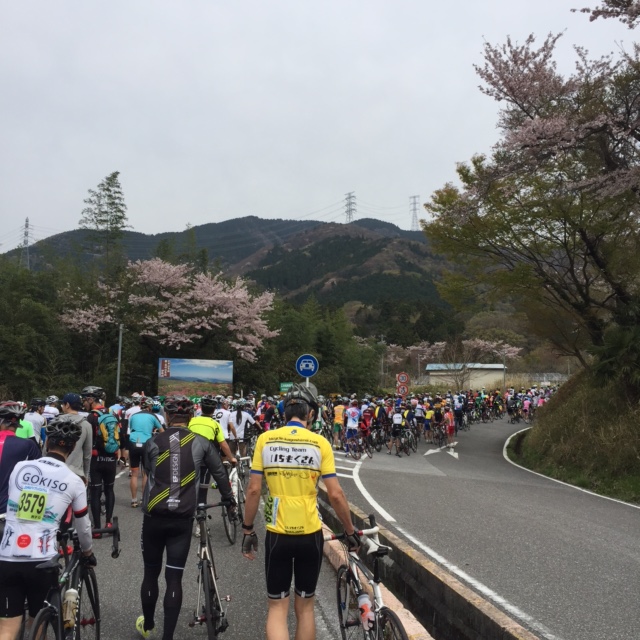 f:id:azutatsu:20160410231153j:image:w360