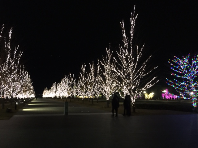 f:id:azutatsu:20161225194431j:image:w360