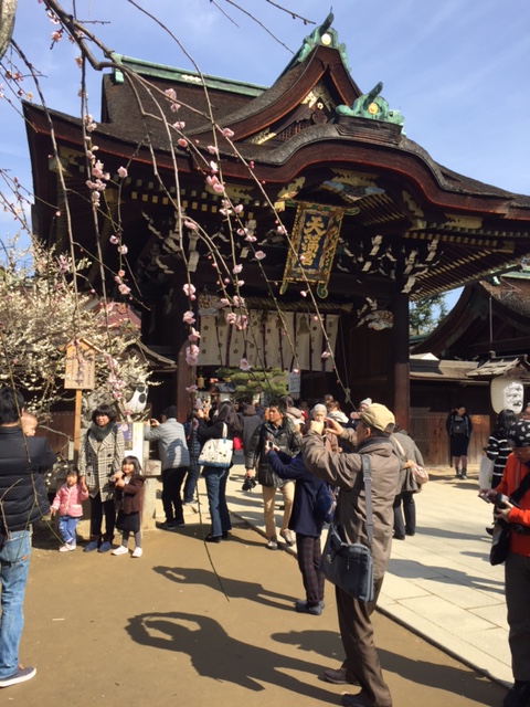 f:id:azutatsu:20170320193722j:image:w360