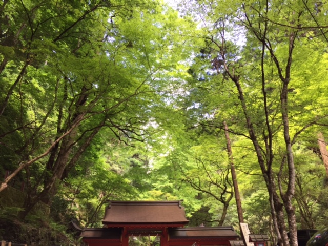 f:id:azutatsu:20170606085050j:image:w330