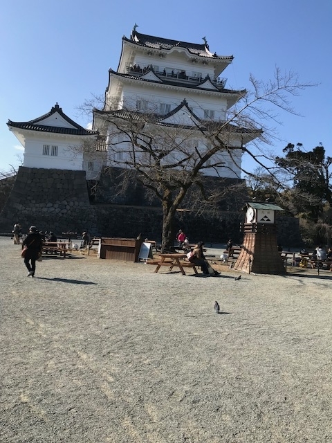 f:id:azutatsu:20180403230630j:image:w360