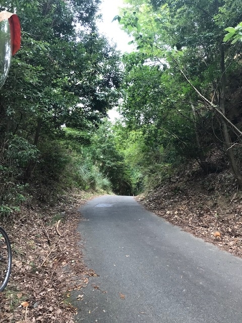 f:id:azutatsu:20191012012956j:plain