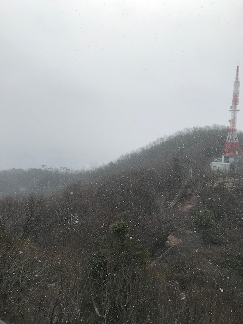 f:id:azutatsu:20200210123248j:plain f:id:azutatsu:20200210123248j:plain