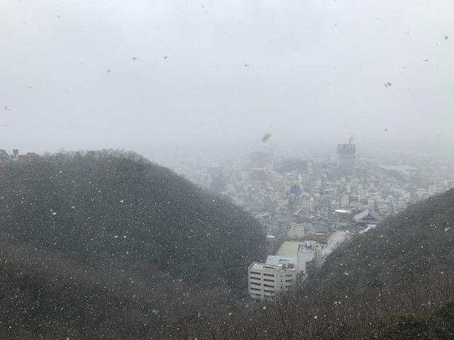 f:id:azutatsu:20200210123303j:plain f:id:azutatsu:20200210123303j:plain