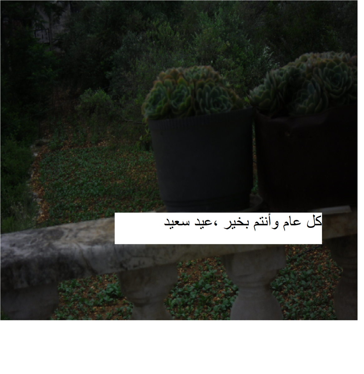 f:id:azzatabbas:20200524201406p:plain