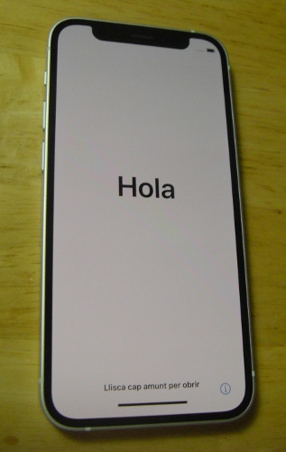 f:id:azzurri10:20211221190259j:plain