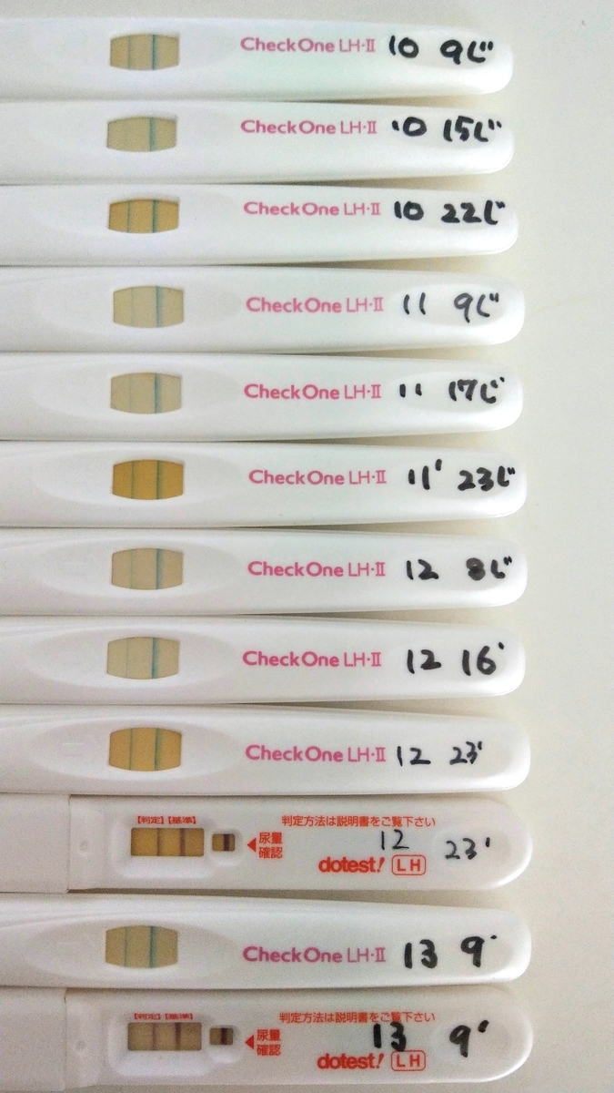 f:id:b-carotin:20200618182808j:plain