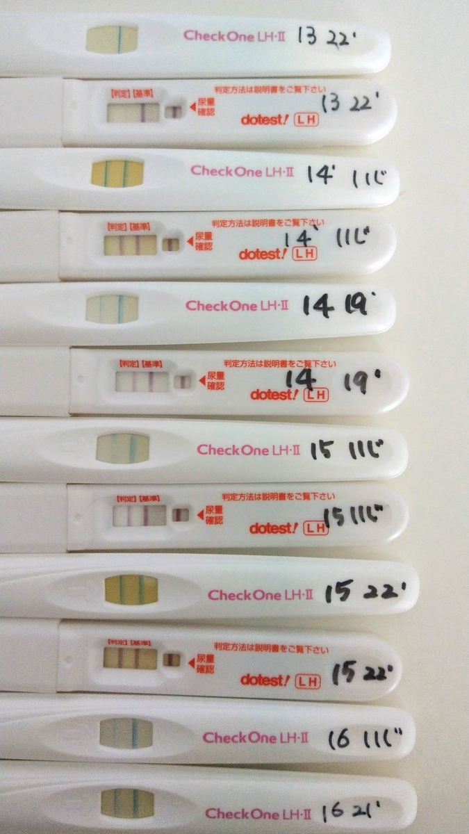 f:id:b-carotin:20200618182902j:plain