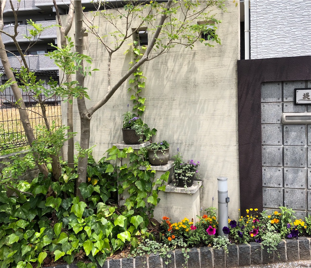 f:id:b-chiaki:20200506214828j:image