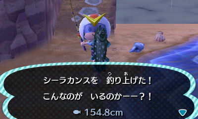 f:id:b-d-d:20121124174456j:image